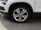 Škoda Karoq, 2019