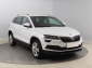 Škoda Karoq, 2019