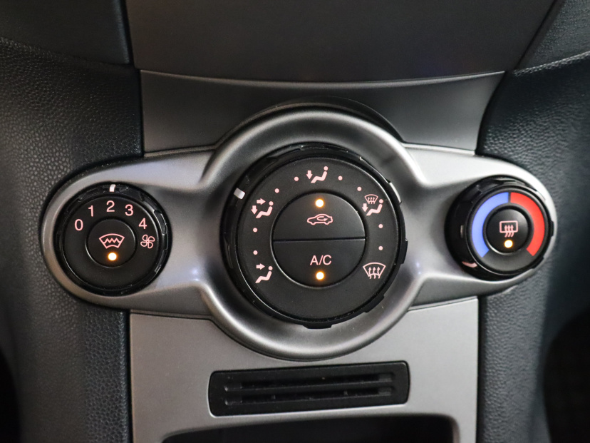Ford Fiesta, 2009