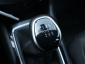 Peugeot 308, 2019