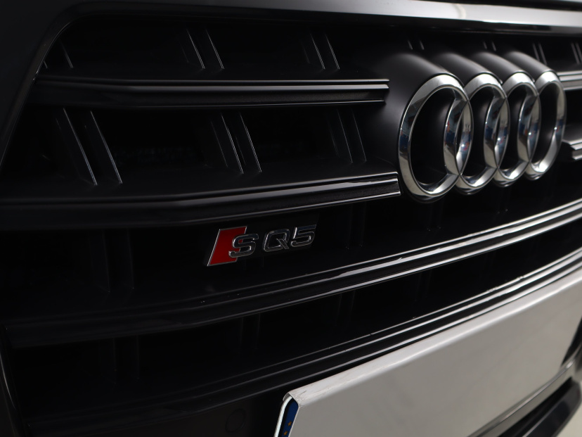 Audi SQ5, 2017