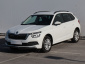 Škoda Kamiq, 2021