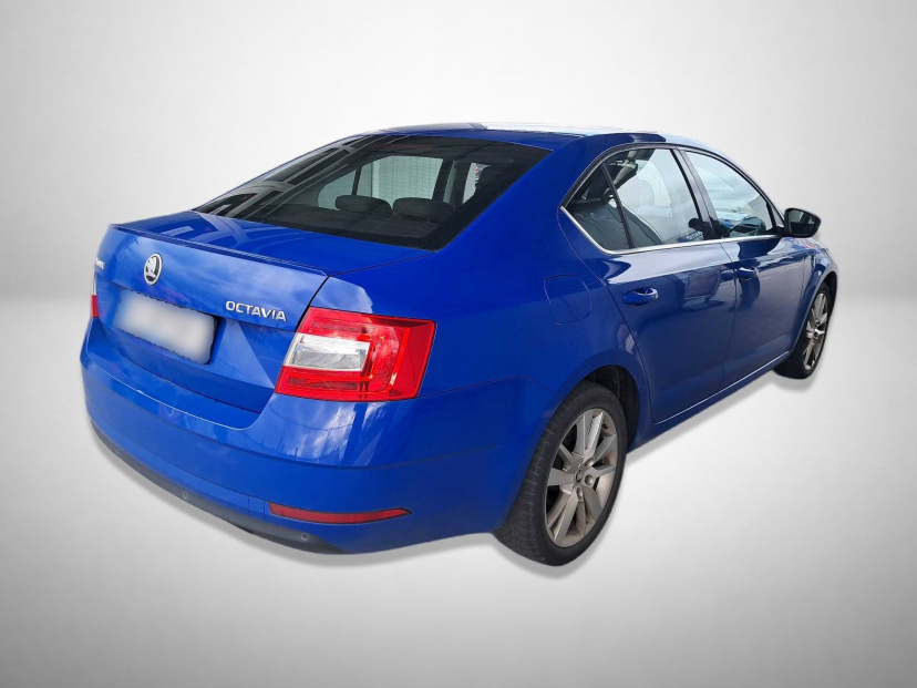 Škoda Octavia, 2019