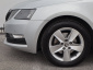 Škoda Octavia, 2019