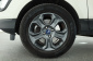 Ford Ecosport, 2020