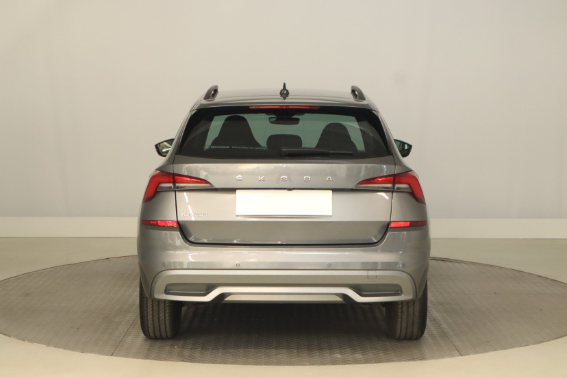 Škoda Kamiq, 2023