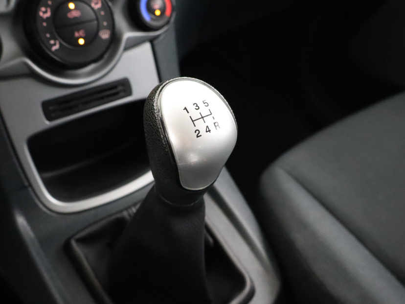 Ford Fiesta, 2010