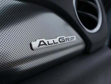 Suzuki Vitara - 2024