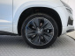 Škoda Karoq, 2025