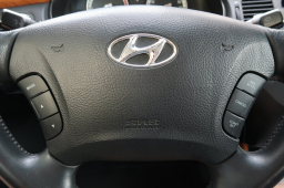 Hyundai Grandeur 2009