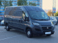 Fiat Ducato, 2020