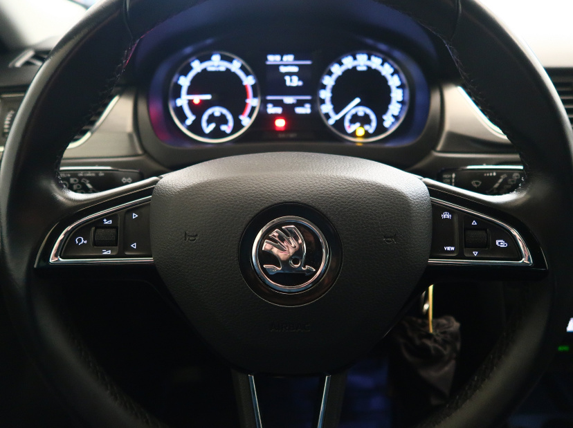 Škoda Rapid, 2019