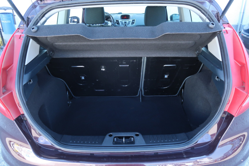 Ford Fiesta, 2010