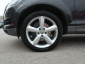 Audi Q7, 2010