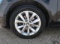 Škoda Octavia, 2019