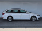 Škoda Octavia, 2017