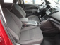 Ford Kuga, 2019
