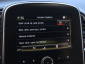 Renault Grand Scenic, 2020