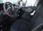 Renault Trafic, 2019