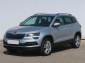 Škoda Karoq, 2020
