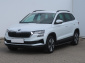 Škoda Karoq, 2022