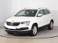 Škoda Karoq, 2021
