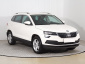 Škoda Karoq, 2021