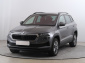 Škoda Karoq, 2024