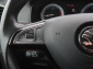Škoda Karoq, 2019