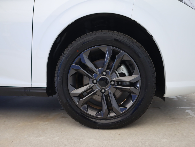 Dongfeng Shine, 2024