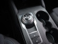 Ford Focus, 2023