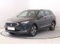 Seat Tarraco, 2023