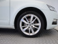 Škoda Octavia, 2019