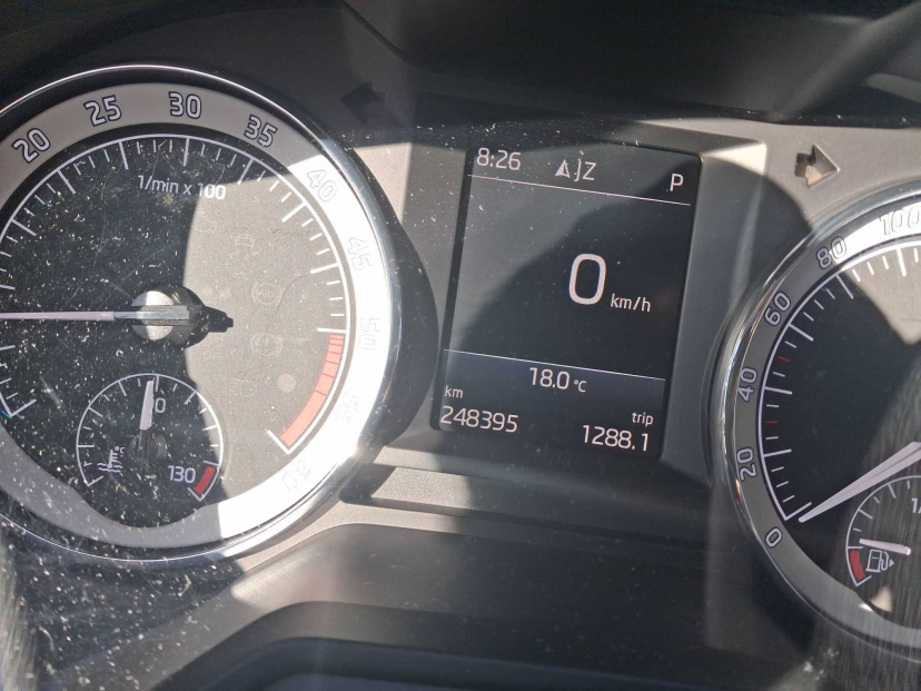 Škoda Octavia, 2019