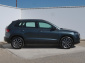 Škoda Karoq, 2021