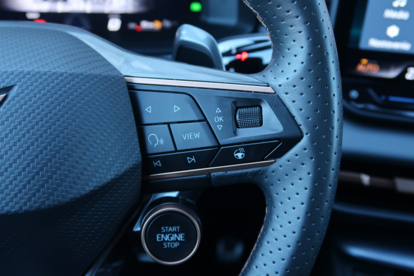 Cupra Terramar, 2025