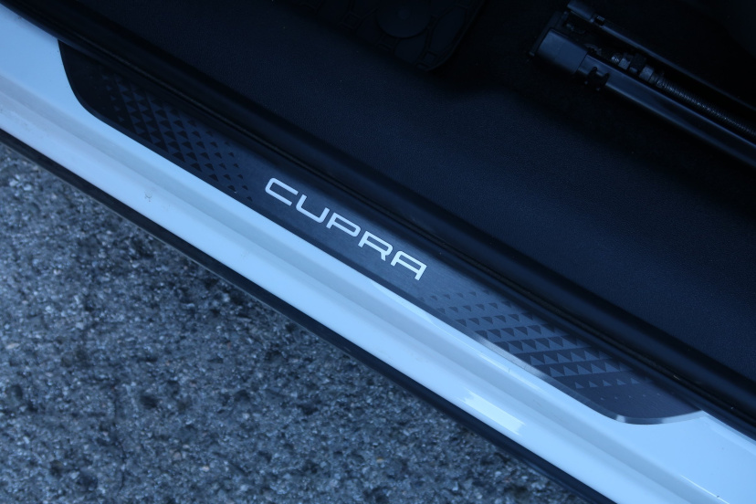 Cupra Terramar, 2025