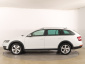 Škoda Octavia Scout, 2019