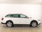 Škoda Octavia Scout, 2019