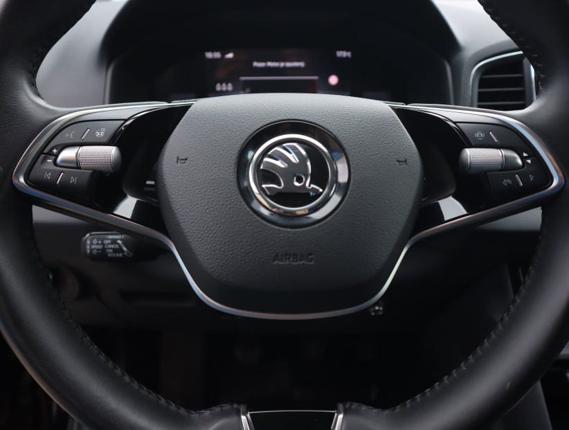 Škoda Karoq, 2024
