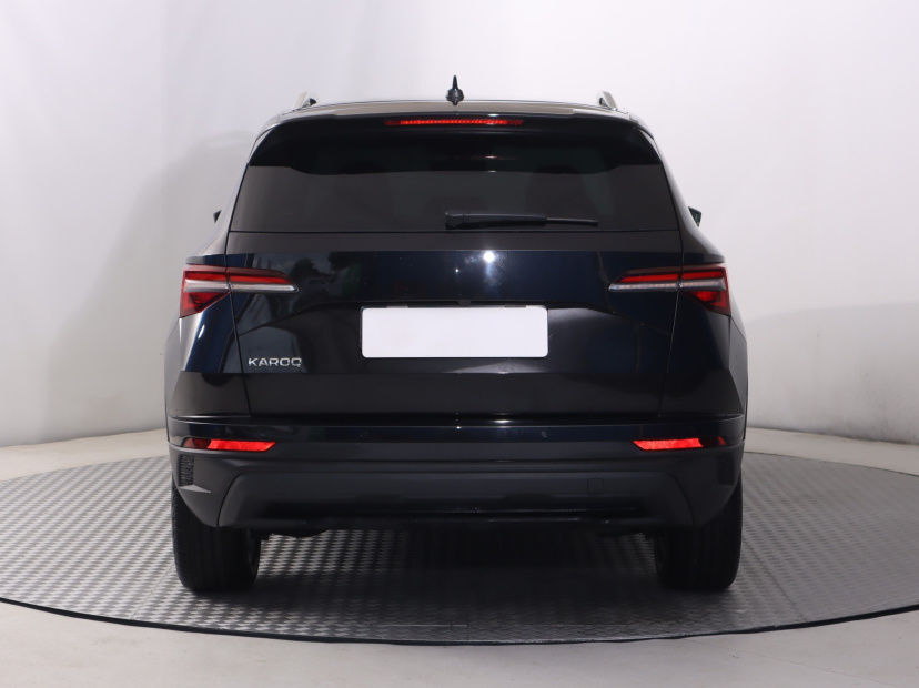 Škoda Karoq, 2024