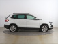 Škoda Karoq, 2019