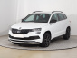 Škoda Karoq, 2021