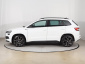 Škoda Karoq, 2021