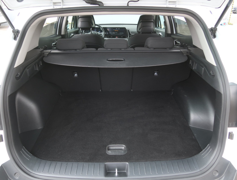Kia Sportage, 2024