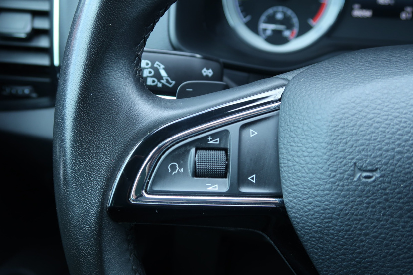 Škoda Karoq, 2019