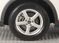 Dongfeng Glory 500, 2023