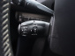 Peugeot 308, 2019