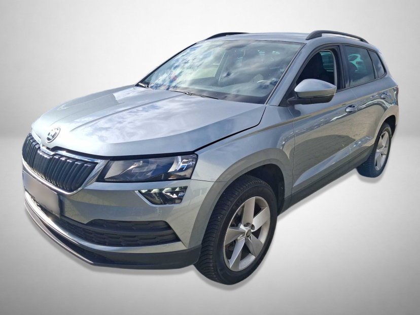Škoda Karoq, 2020