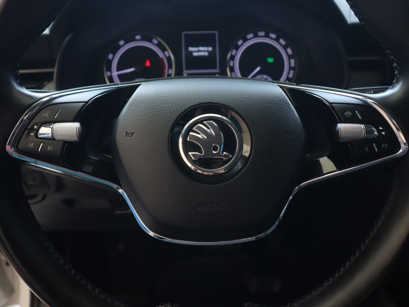 Škoda Kamiq, 2021